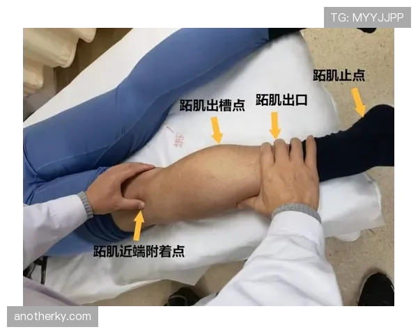 篮球规则中起跳接触判罚的具体界定标准